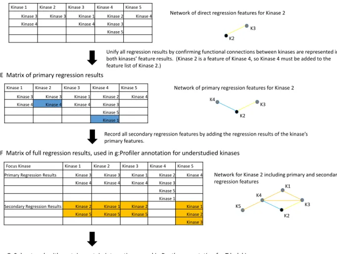 Figure 3 (D-G).  Flowchart of methods for lasso regression and annotations.  (D) Matrix of direct 