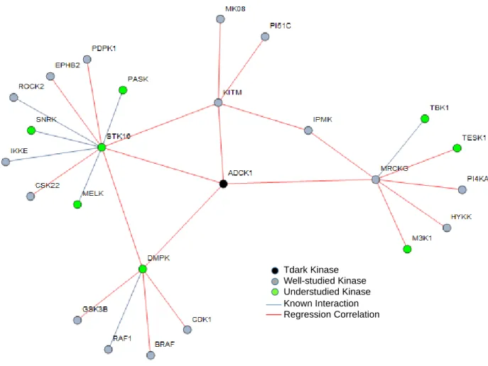 Figure 5.  Subnetwork of regression features and protein interactions for ADCK1.  Well-studied kinases,  16, are shown in gray and understudied, 9 including ADCK1, in green