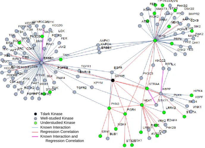 Figure 6.  Subnetwork of regression features and protein interactions for SG196.  SG196 has 37 