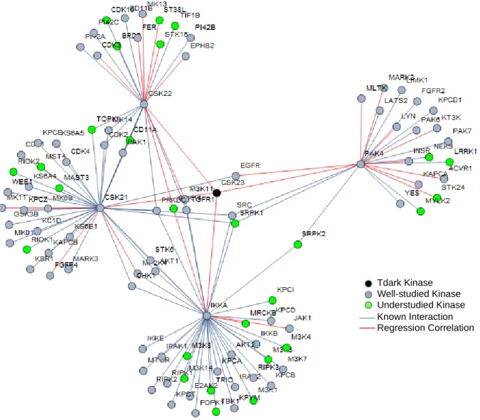 Figure 7. Subnetwork of regression features and protein interactions for CSK23.  CSK23’s subnetwork  consists of 26 regression linkages and 80 known interactions