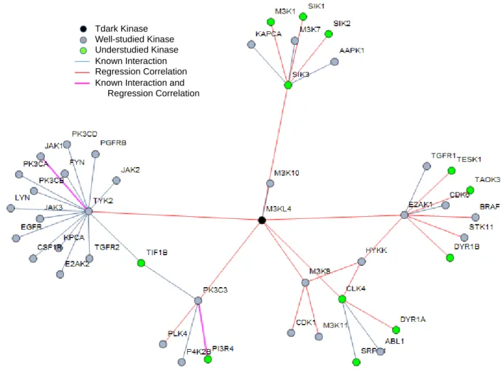 Figure 8.  Subnetwork of regression features and protein interactions for M3KL4.  This subnetwork is  composed of 24 regression linkages and 25 additional known interactions