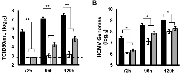 Figure 4 - Mutations in the MIE 5’UTR decrease HCMV replication. Fibroblasts were infected with an  equivalent number of genomes of wild type (black bars), Full CAA (white bars), or +10 CAA (gray bars)  HCMV