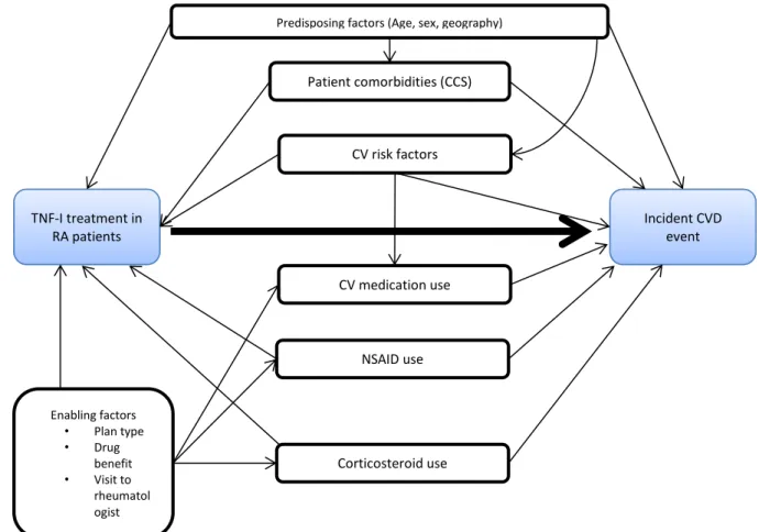 Figure 2.2: Directed acyclic graph (DAG) for the association between TNF-I use and  cardiovascular diseases 