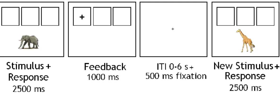Figure 1: Display of task sequence for the feedback learning task. A trial started with a 2500  ms stimulus display during which the participant responded by sorting the stimulus in one of  the three boxes
