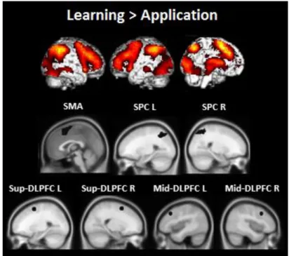 Figure 2: Wholebrain results for the contrast Learning > Application (FWE-corrected at  p<.05, > 10 contiguous voxels) and the regions-of-interest based on this contrast