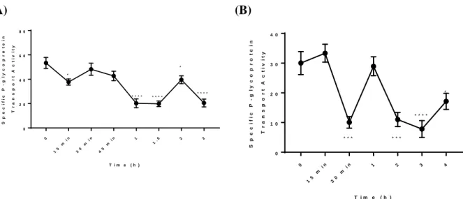Figure 3. Specific P-gp transport activity versus duration GenX treatment (100 nM, ex vivo)