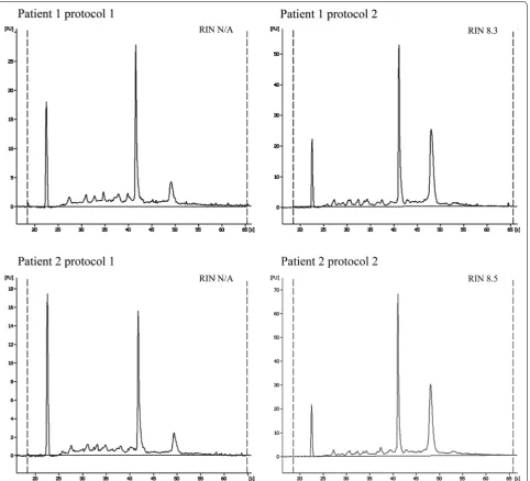 Fig. 3 RNA quality values for purification using protocol 1 and 2. Bioanalyser electropherograms of RNA isolated using protocol 1 and 2