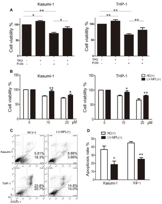 Figure 7: Enforced expression or activation of MPL partially rescues the effect of PARP-1 inhibition in AML cells