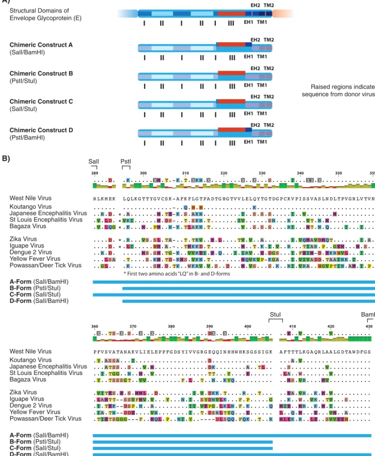 FIG 1 Schematic overview of chimera insert sizes and locations and sequence alignment of donor EIII sequences