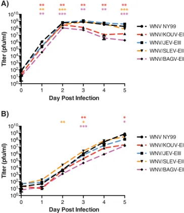 FIG 4 In vitro growth kinetics for chimeric viruses. Growth kinetics were determined for WNV NY99 and each of the four chimeras following infection of Vero (A) and C6/36 (B) cells in triplicate flasks at a low MOI of 0.0005.