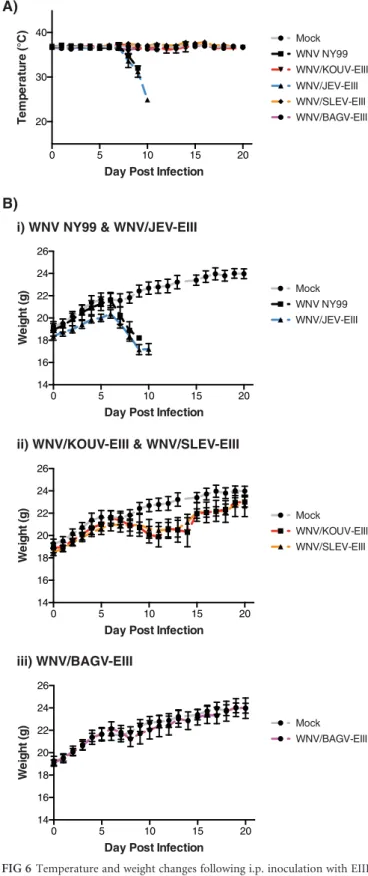 FIG 6 Temperature and weight changes following i.p. inoculation with EIII chimeras. Groups of five 3- to 4-week-old female Swiss Webster mice were infected with 100 PFU of WNV NY99 or an EIII chimera via the i.p