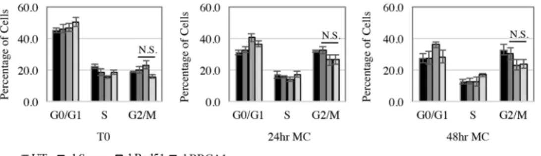 FIG 6 Inhibition of Rad51 DNA binding activity leads to a defect in productive replication