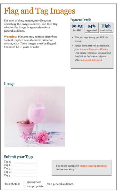 Figure 3: Image Tagging Experiment Page View