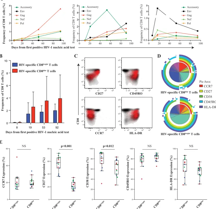 FIG 5 HIV-1-specific CD8 ⫹ T cells within the CD8 bright and CD8 dim population. PBMC from three donors were chosen an average 8, 19, 53, and 93 days after the 1st RNA-positive HIV nucleic acid test