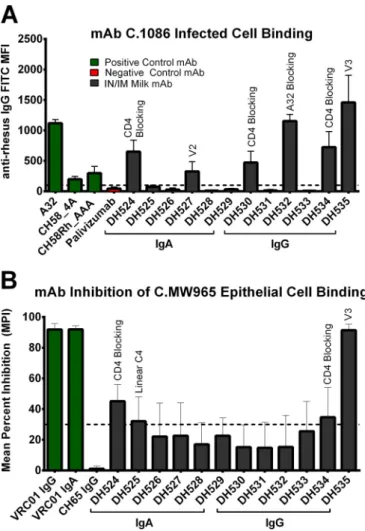 FIG 7 Vaccine-elicited Env-specific MAbs from breast milk B cells bind in- in-fected cells and prevent viral binding to epithelial cells