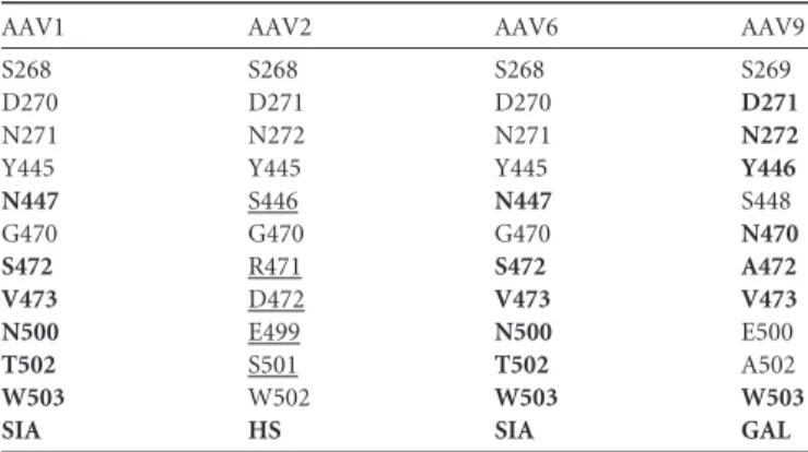 FIG 1 SIA binding site on the AAV1 capsid. (A) Capsid surface image of AAV1 with the location of observed SIA density (yellow) and three surface-exposed residues that differ between AAV1 and AAV6: E531K (red), F584L (blue), and A598V (orange, not visible i