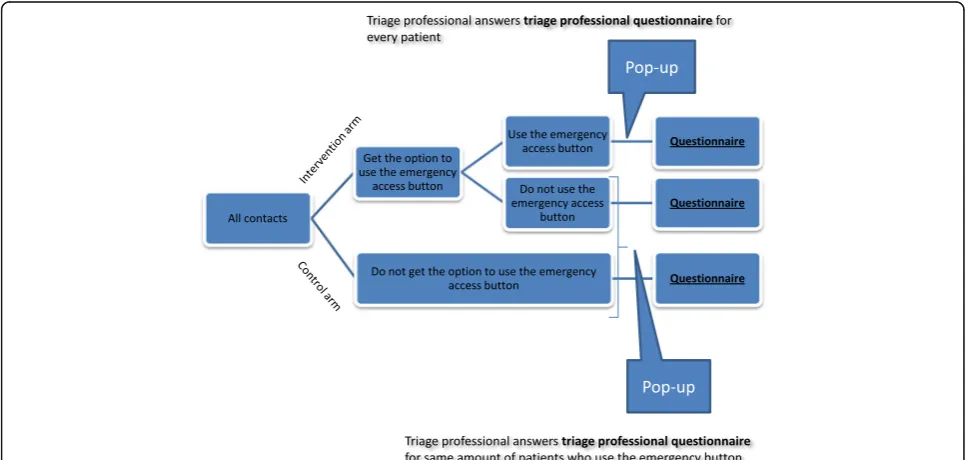 Fig. 1 Flowchart of intervention