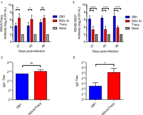 FIG 5 DB1 immunogenicity in cotton rats. Groups of 6 cotton rats were infected i.n. with either RSVA/Tracy, DB1, or a control