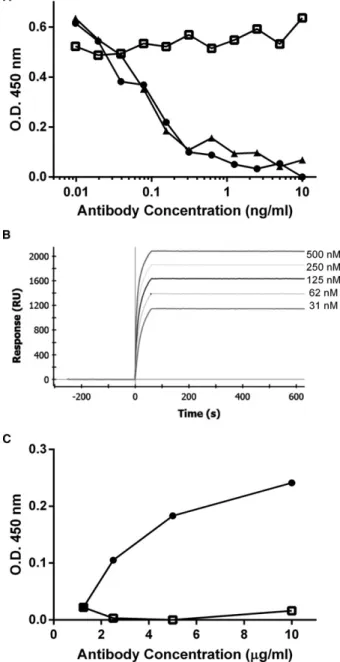 Fig 3. Functional characterization of the felinized anti-NGF anti- anti-body NV-02. (A) Inhibition of NGF induced proliferation of TF-1 cells in vitro