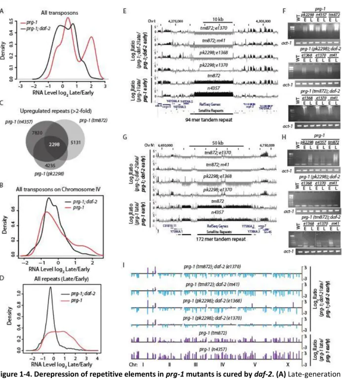 Figure 1-4. Derepression of repetitive elements in prg-1 mutants is cured by daf-2. (A) Late-generation  prg-1 mutants show a mean increase in transposon expression, compared to the expression of 