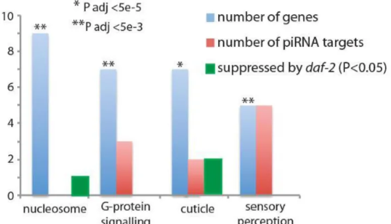 Figure 1-S3. Altered gene expression can reflect piRNA targeting and can be affected by daf-2