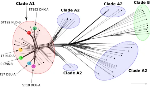 FIG 3 NeighborNet phylogenetic network to visualize the relationships between 176al. (from all pairwise allelic proﬁle comparisons