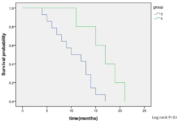 Figure 4. Overall survival of the CRC BM population: BM HER-2(+) (group 1: score 2+/3+) vs