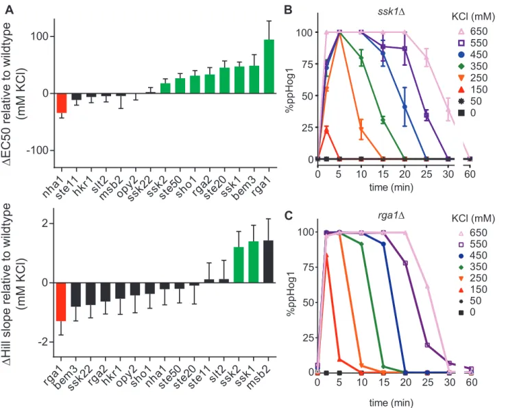 Figure 2.4. The complete transcription and Hog1 activity quantifications for Figure 2.3