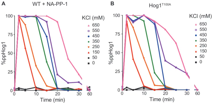 Figure 2.6. Only the combination of Hog1 inhibitor and mutant disrupt dose-to-duration.