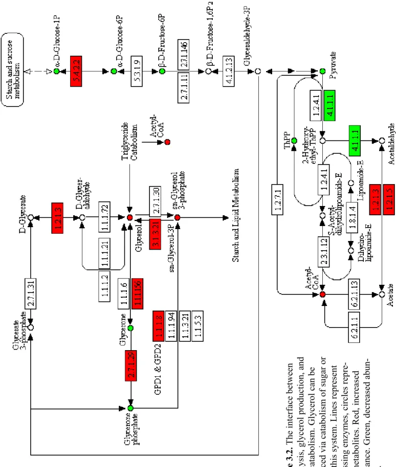 Figure 3.2. The interface between 
