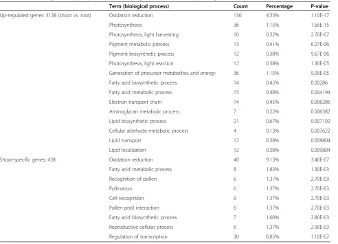 Table 2 Go term significantly represented in up-regulated and shoot-specific gene clusters
