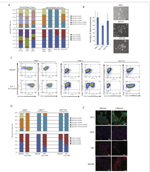 Figure 6 Human breast cell lines are enriched for basal and mesenchymal phenotypesReduction mammoplasty tissues (RM) and normal breast cells lines as well as matched RM with HME cell lines were stained with EpCAM, CD24and CD49f and quantified by flow cytom