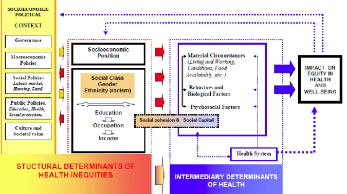 Figure 2.2. Final version of the conceptual framework adopted by the WHO Commission on the  Social Determinants of Health 