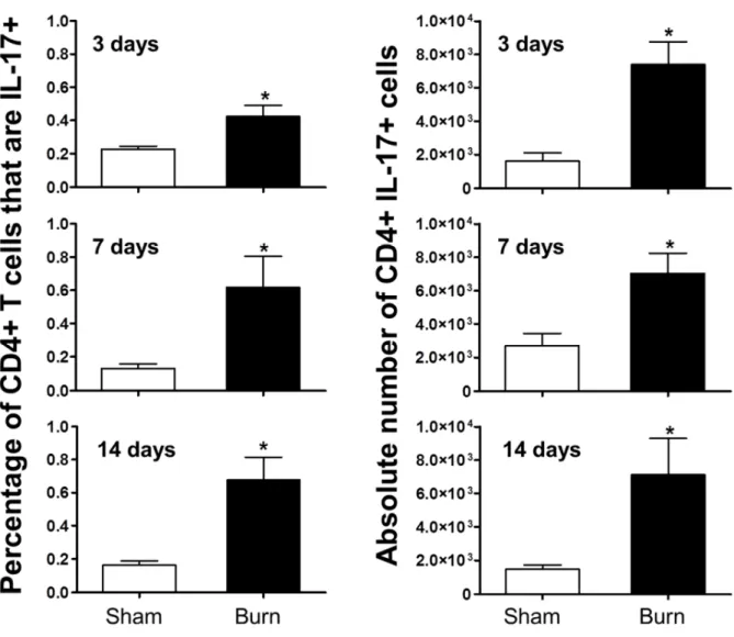 Figure 2.4. Frequency and absolute number of Th17 cells is significantly greater in the  wound-draining lymph nodes of burn mice at all timepoints examined