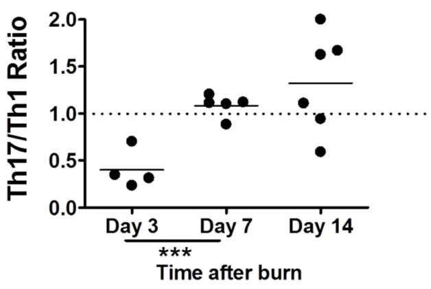 Figure 2.6 Th17/Th1 ratio is dynamic following burn injury. Cells were harvested from  various peripheral lymph nodes at 3, 7 or 14 days following a 20% total burn surface area,  full-thickness burn or sham injury