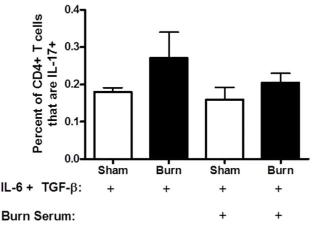 Figure 2.8. Burn serum does not contain a soluble factor that increases that ability of  CD4 +  T cells to polarize to a Th17 phenotype