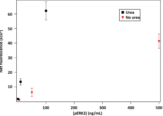 Figure 2.11.  Comparison of pERK2 assay results with and without urea in the assay buffer