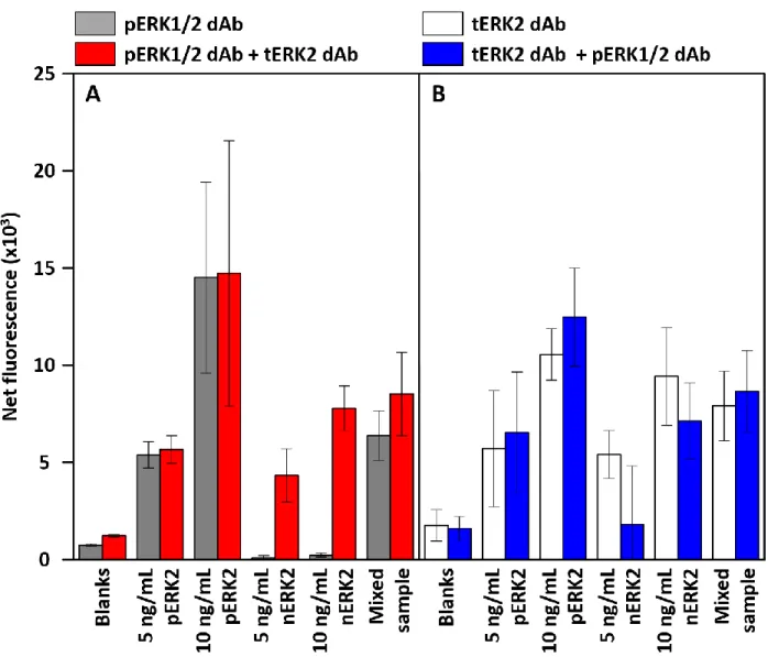 Figure 2.12.  Results from pERK2:ERK2 protocol development experiment.  (A) Results from  pERK1/2 dAb-first beads