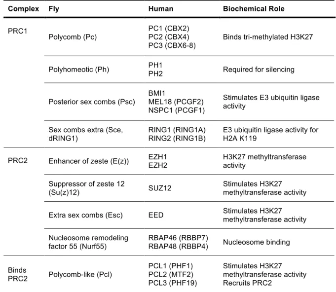 Table 1.1  Core components of Polycomb complexes in flies and humans 