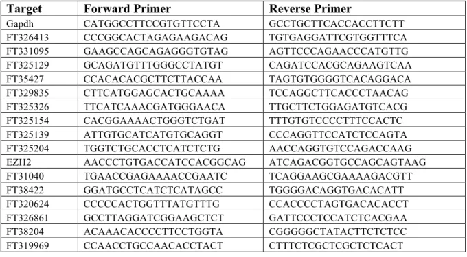 Table 2.1  Quantitative PCR primers used in the experiments described in Chapter 2. 