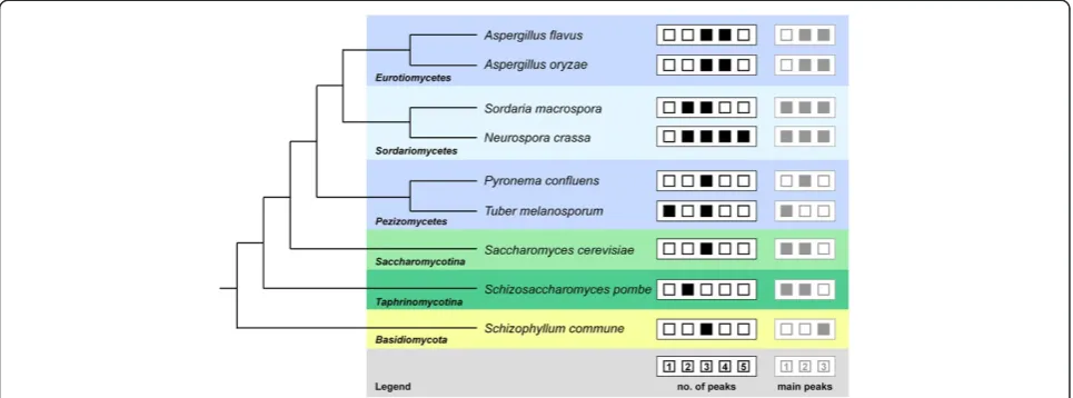 Figure 2 Phylogenetic relationships of the species included in this analysis. The species tree is derived from [12]