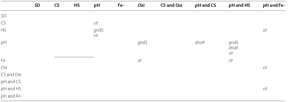 Table 7 Differentially expressed stress genes in each pair of conditions for C58