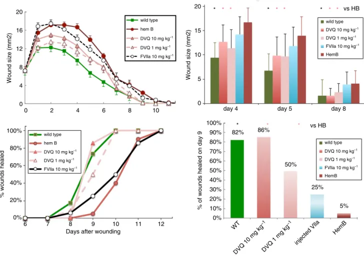 Fig. 1. Cutaneous wound healing in hemophilia B (HB) mice is normalized by one dose of DVQ