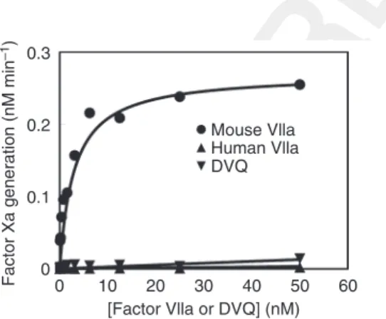Fig. 4. Both human activated factor VII (FVIIa) and DVQ bind poorly to mouse tissue factor (TF)