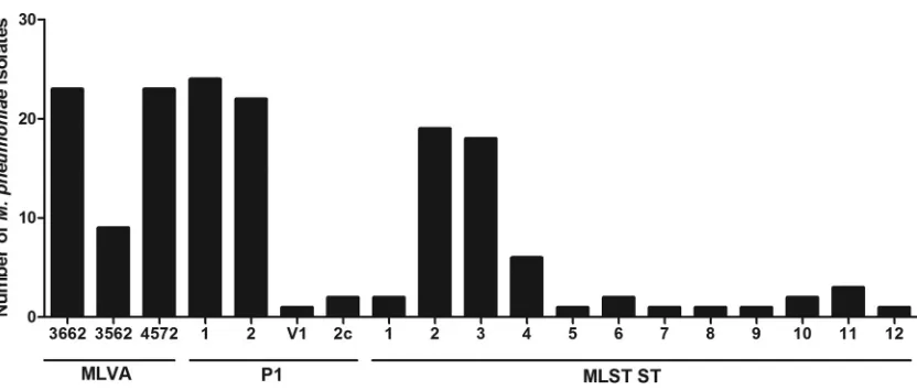 FIG 4 Distribution of MLVA, P1 type, and ST for 57 M. pneumoniae isolates (each group deﬁned by lines below).