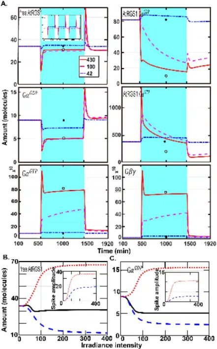 Figure 2. The dynamics of all change detectors for under single illumination pulse and the  dependence on intensity