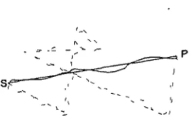 Figure 3. If the classically allowed path from S to P is the straight (füll) line, neighbonng paths have nearly the same classical action, so that they have little phase difference.
