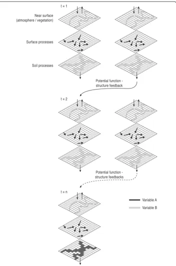 Fig. 3 Geomorphic feedbacks between structural and functional connectivity. Schematic diagram ofconnectivity follow similar patterns, and the system become difficult to reverse (see Turnbull et al.,feedbacks between structural and functional connectivity (
