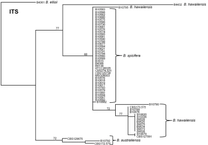 TABLE 2 MLST loci information