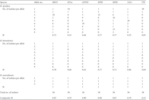 TABLE 3 Allelic information at each MLST locusa